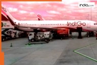 IndiGo Flight Cancelled: Civil Aviation Ministry takes proactive measures after airline cancelled 1000 flights, says…