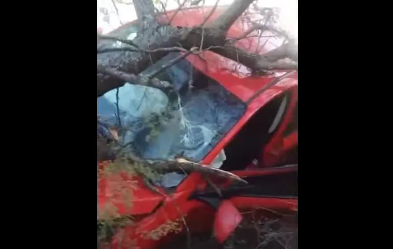 Despistó un auto tras reventarse una rueda dejando cuatro heridos