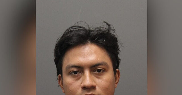 Illegal Alien Pleads Guilty to Killing Maryland Woman in Deadly Carjacking