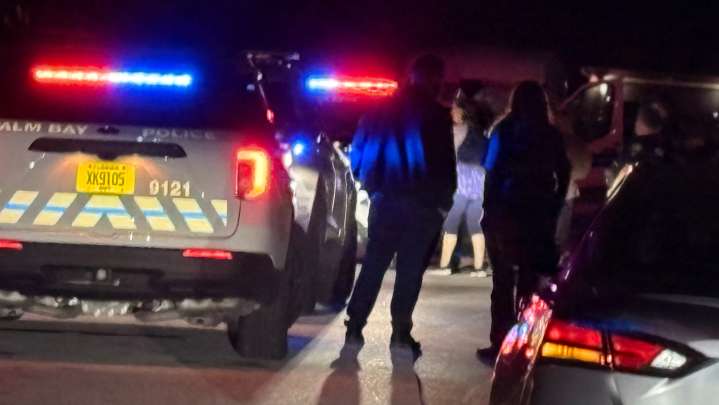 Elderly Palm Bay Man Charged in son's shooting