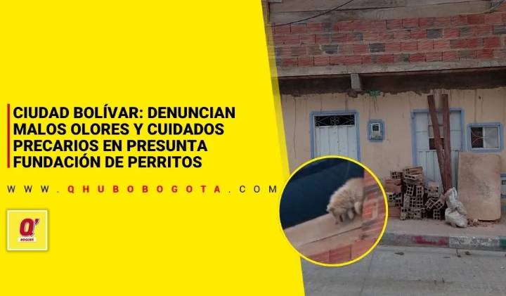 Ciudad Bolívar: denuncian malos olores y cuidados precarios en presunta fundación de perritos