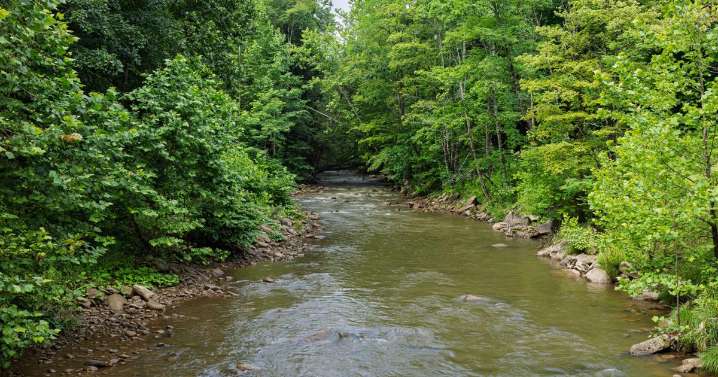 Beset by US-highest water violation rate, WV has weaker standards than other states