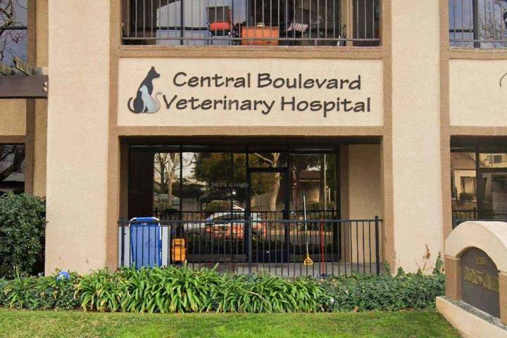Burglars Caught on Video Stealing Pet Ashes from Veterinary Hospital