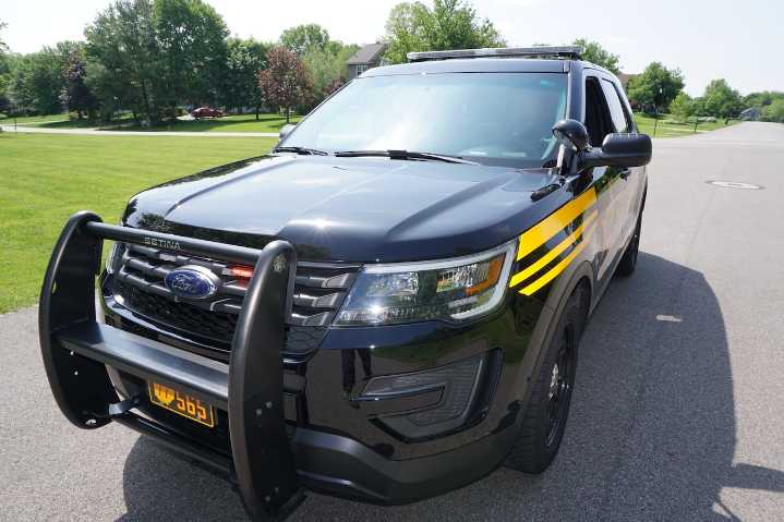 Florida man arrested in break-ins at museum, business and park