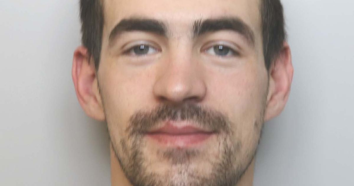 Fearless feline scared off burglar and stopped' terrifying confrontation'