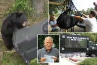 Florida black bear hunting season kicks off for the first time in a decade