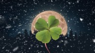 4 signos manifiestan suerte bajo la Luna llena de diciembre 2025