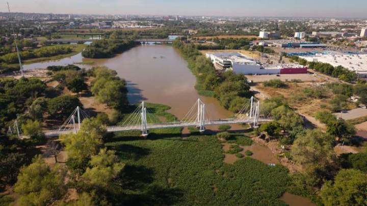 Avanza limpieza de plaga invasora de lirio acuático en el río Humaya