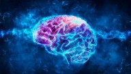 Siete hábitos simples que fortalecen la salud cerebral y mejoran el bienestar emocional, según expertos internacionales
