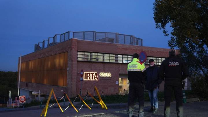 Cataluña auditará los laboratorios que tratan la peste porcina ante la posible fuga del virus desde uno de ellos