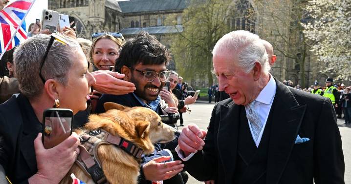 Kennel Club given new name thanks to King Charles