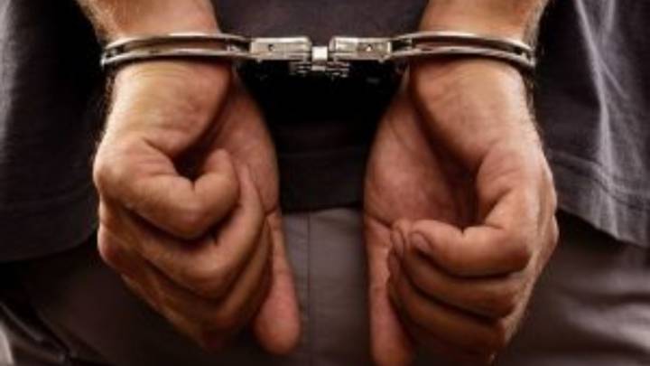 1,143 kg red sanders worth Rs 1 crore seized in Bengaluru, one arrested, 3 cars recovered