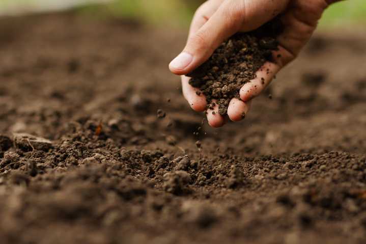 Agricultura regenerativa: la nueva frontera para un planeta agotado