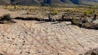 Paleontólogos no pueden creer el enorme descubrimiento realizado en Bolivia: miles de huellas de dinosaurios