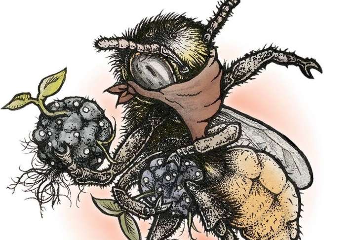 Turn that anger into action at this year’s Howard Zinn Book Fair