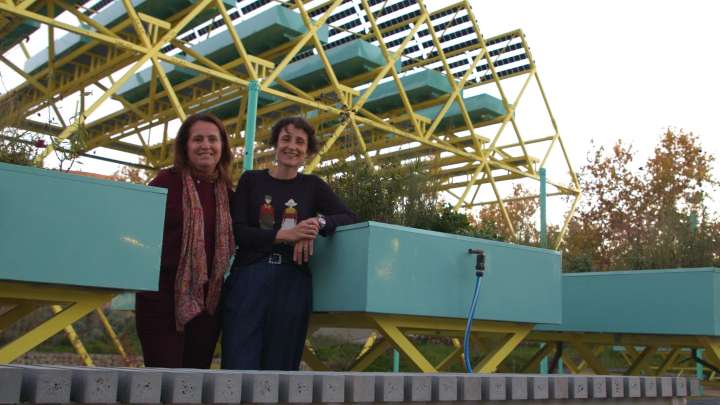 The Sky Garden: el proyecto que ha demostrado que emprender después de los 50 puede ser la mejor decisión