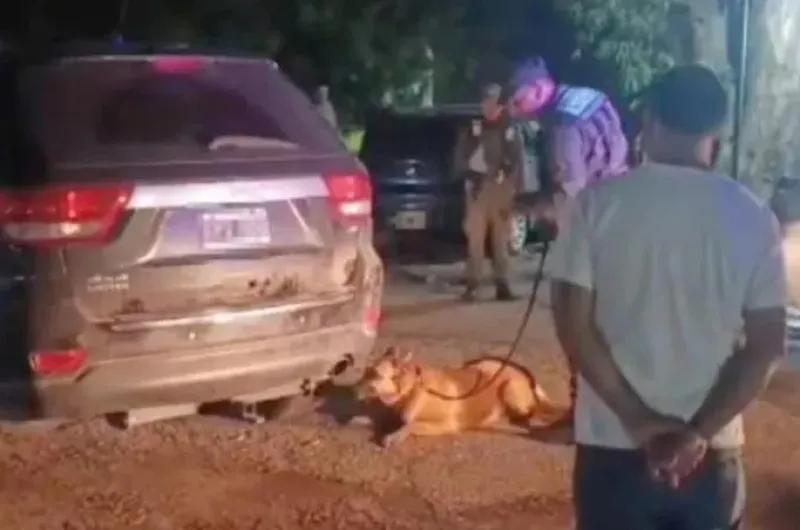 Incautan más de 100 kilos de cocaína que eran transportados en auto por la Ruta 34