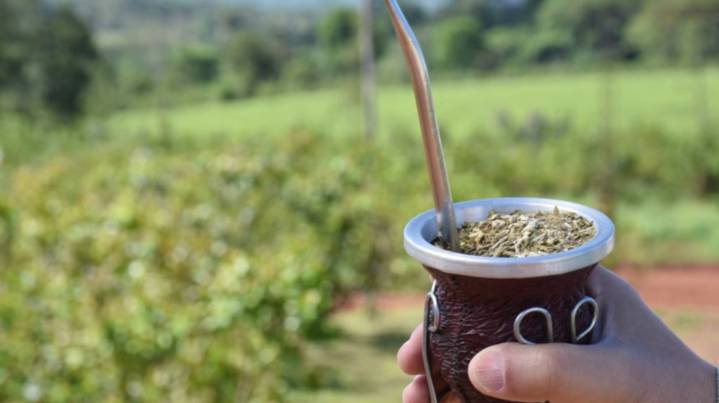 Yerba mate: afirman que hay “buenas perspectivas” exportadoras y una recuperación del mercado interno
