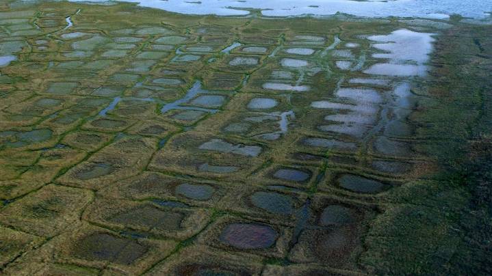 Lawsuit challenges the approval of an exploratory drilling program in Alaska petroleum reserve