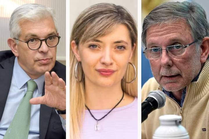 “No estamos de acuerdo”. Dos exfuncionarios de Agricultura del peronismo se desmarcaron del impuesto a las vacas de una diputada K