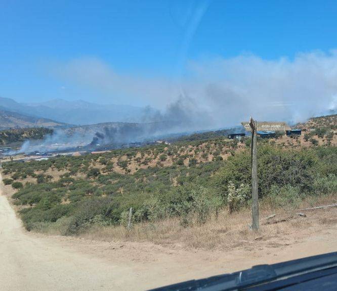 Senapred activa la mensajería SAE y solicita evacuar los sectores El Limachito y Condominio Limache por incendio forestal
