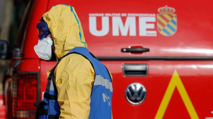 La mortífera peste porcina africana podría volverse endémica en España si alcanza el suroeste peninsular