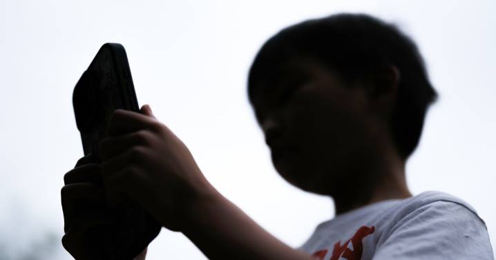 Reddit challenges Australia’s world-first law banning children under 16 from social media