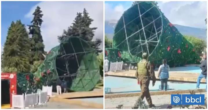 "Algunos piensan que fue el Grinch": La caída de enorme árbol a pocos días de la Navidad en Coyhaique