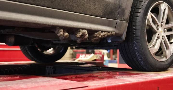 Mechanics warns of battery and tire failures as temperatures drop into the negatives