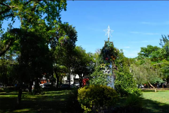 Se realizará el encendido del árbol de Navidad que llenará de luz y tradición a Crespo