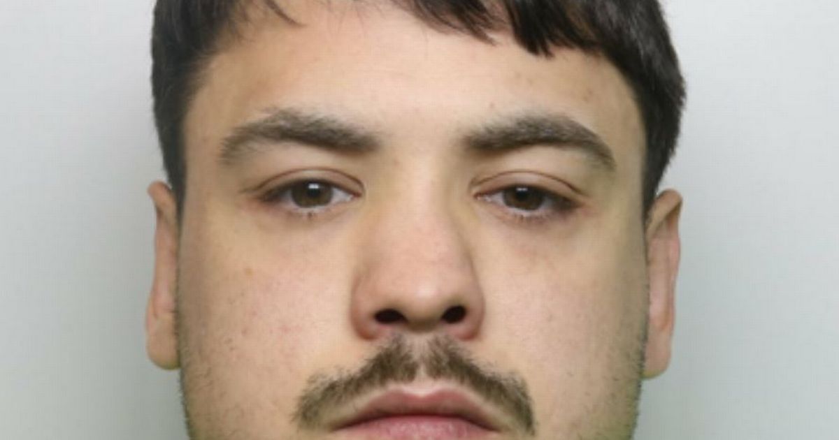 Dealer behind 'Mo' drugs line jailed for six years after officers seize phone