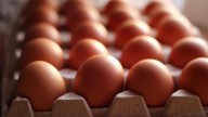 Ya el dilema no es si primero fue el huevo o la gallina, ahora es: ¿conservar los huevos en la nevera o fuera?