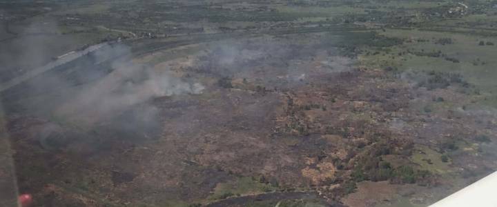 La Corte condenó a Buenos Aires, Entre Ríos y Santa Fe por los incendios en zona de Islas