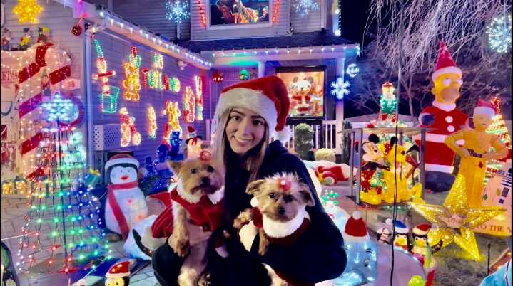 Dazzling holiday display in New Springville doubles as a fundraiser to save animals