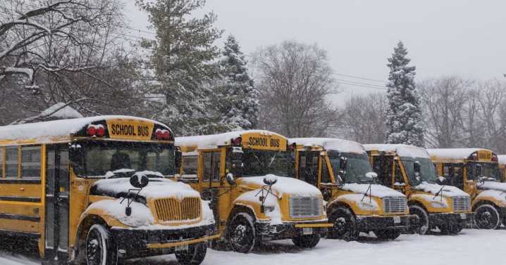 School bus cancellation notifications malfunction