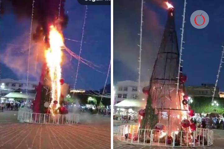 Queman árbol de Navidad por asesinato de Ángeles en Zitácuaro, Michoacán