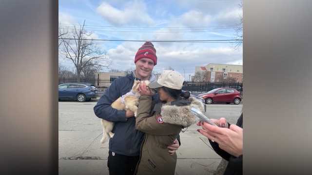 Owners reunited with stolen dog and car share appreciation, tech warning