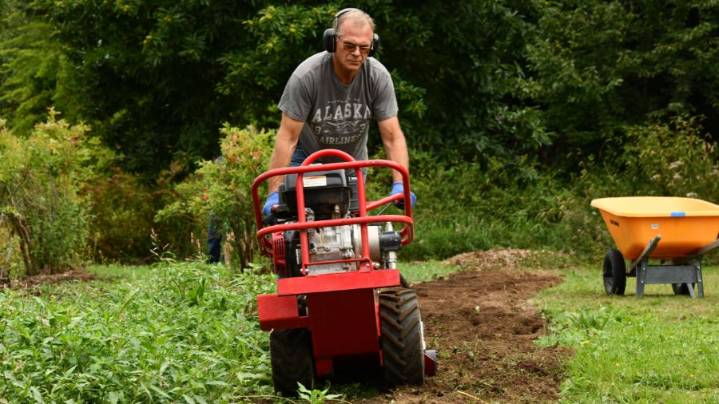 From brambles to blueberries: Community champion Dwight Pauls helps Federal Way bloom