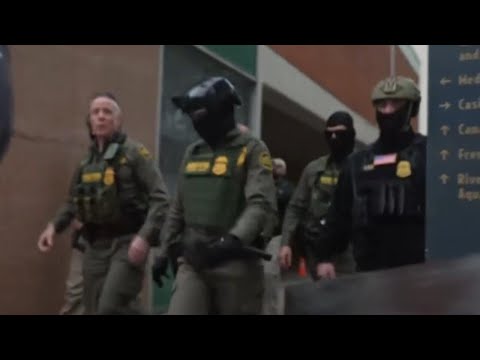 Over 250 people arrested since New Orleans immigration crackdown, DHS says