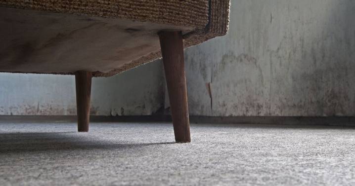 Households urged to move sofas 2 inches in December 