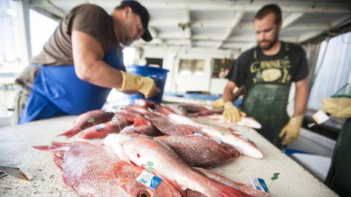 How WI fishermen reclaimed their place in the industry