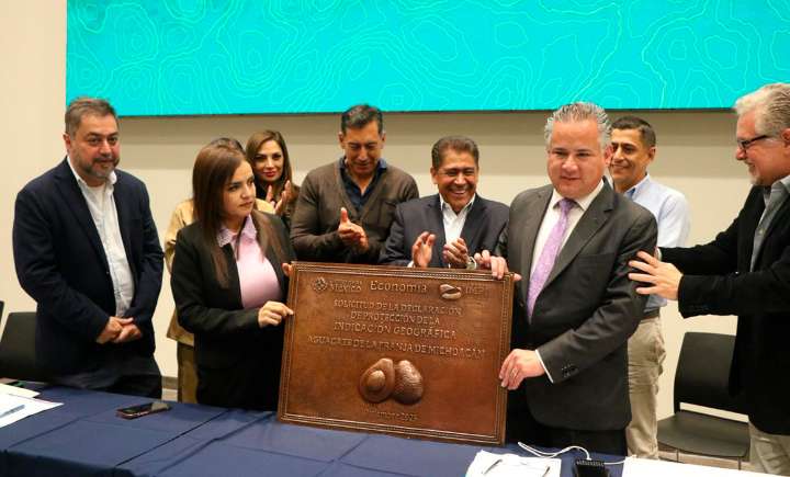 Inicia IMPI trámite de Indicación Geográfica de Aguacate Franja Michoacán