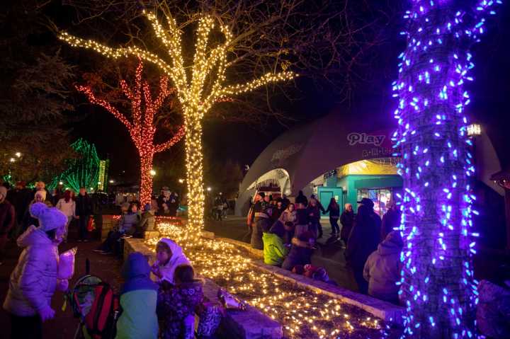 Want to see some Christmas lights? Here’s where they’re on display in Pa. this holiday season