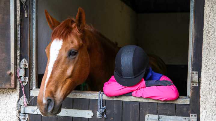 How to save money on horse costs and simple ways to cut your bills