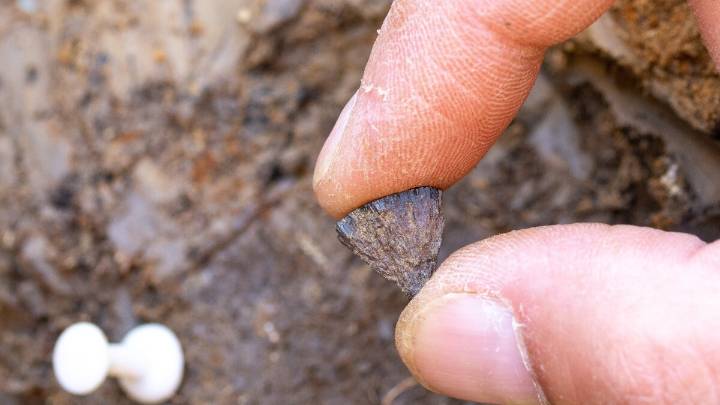 Fire-making materials at 400,000-year-old site are the oldest evidence of humans making fire