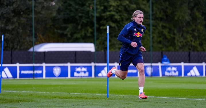 Forgotten Leeds United transfer could play key role in major Daniel Farke change