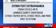 What’s Brewing - Citrus fest extravaganza