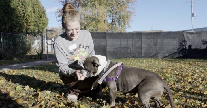 City, humane society reach agreement to continue partnership