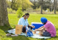 Woodstock city budget: Politicians mull expanding landmark park