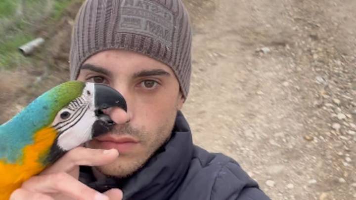 SOS del influencer navarro Marcos Moreno tras el robo de cuatro de sus guacamayos